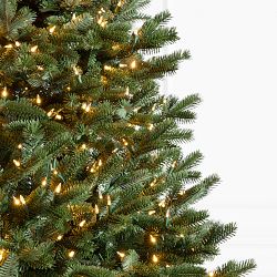 Balsam Hill Most Realistic Fraser Fir Narrow Faux Tree, 6.5'-12'
