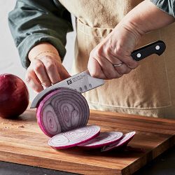 Zwilling Pro Santoku Knife