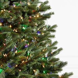 Balsam Hill Most Realistic Fraser Fir Narrow Faux Tree, 6.5'-12'