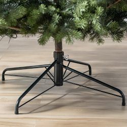 Balsam Hill Most Realistic Fraser Fir Narrow Faux Tree, 6.5'-12'