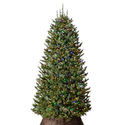 Balsam Hill Most Realistic Fraser Fir Narrow Faux Tree, 6.5'-12'