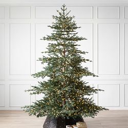 OPEN BOX: Balsam Hill Aspen Silver Fir reNEW 7.5' LED Clear+Fairy