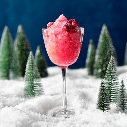 Frozen Cranberry No-Groni Mocktail Gift Set