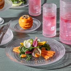 Fortessa Jupiter Dinner Plates | Williams Sonoma