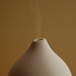 Vitruvi Stone Diffuser