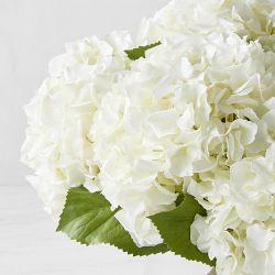 Faux White Hydrangea in Glass Vase