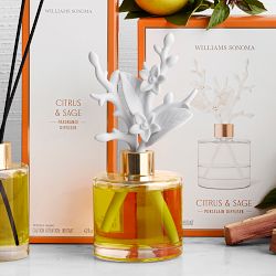 Home Fragrance Citrus &amp; Sage Porcelain Diffuser