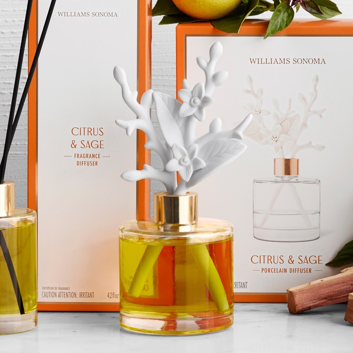 Home Fragrance Citrus & Sage Porcelain Diffuser | Williams Sonoma