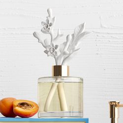 Home Fragrance Bergamot &amp; Oak Porcelain Diffuser