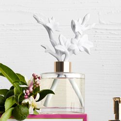 Home Fragrance Jasmine &amp; Yuzu Porcelain Diffuser