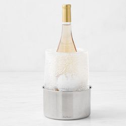 Stainless-Steel Ice Bottle Chiller