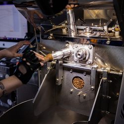 Black &amp; White Coffee Roasters The Traditional Blend Coffee Beans