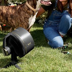 Shark FlexBreeze Fan With InstaCool Mist Attachment