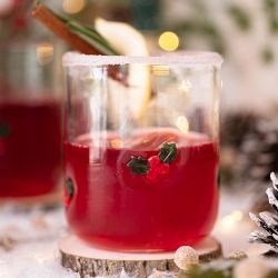 Holiday Icon Glasses, Set of 4