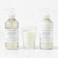 Williams Sonoma Rosemary Eucalyptus Guest Set