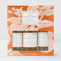 Williams Sonoma Sunny Orange Citrus Kitchen Essentials Kit