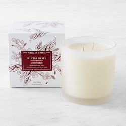 Williams Sonoma Winter Berry Candle, Large