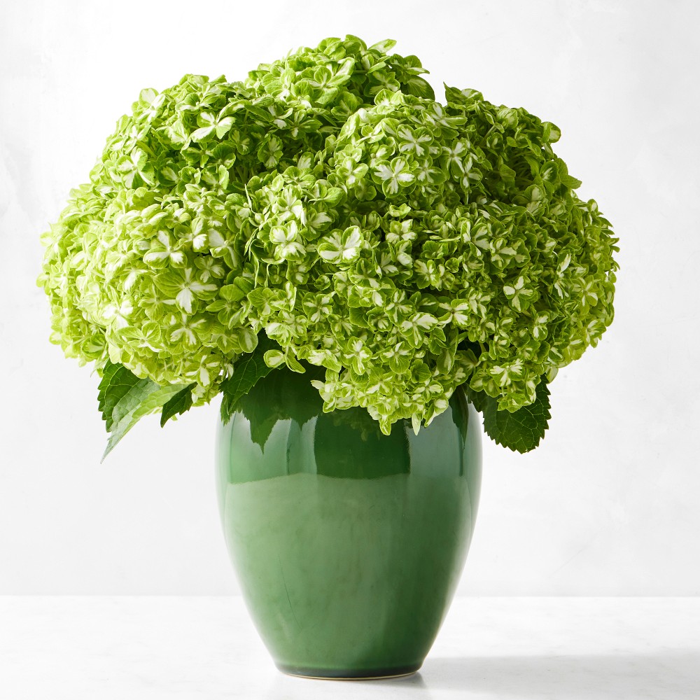 Provençal Large Vase