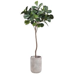 Faux Fiddle Leaf Tree in Fiber Cement Planter, 84"