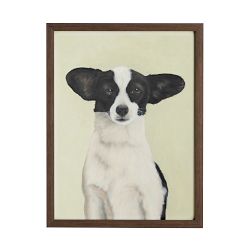 Limited Edition Dog Portrait III, Cosmo