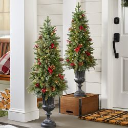 Balsam Hill Outdoor Winter Evergreen Potted Tree, 4', LED Battery-Operated, Set of 2