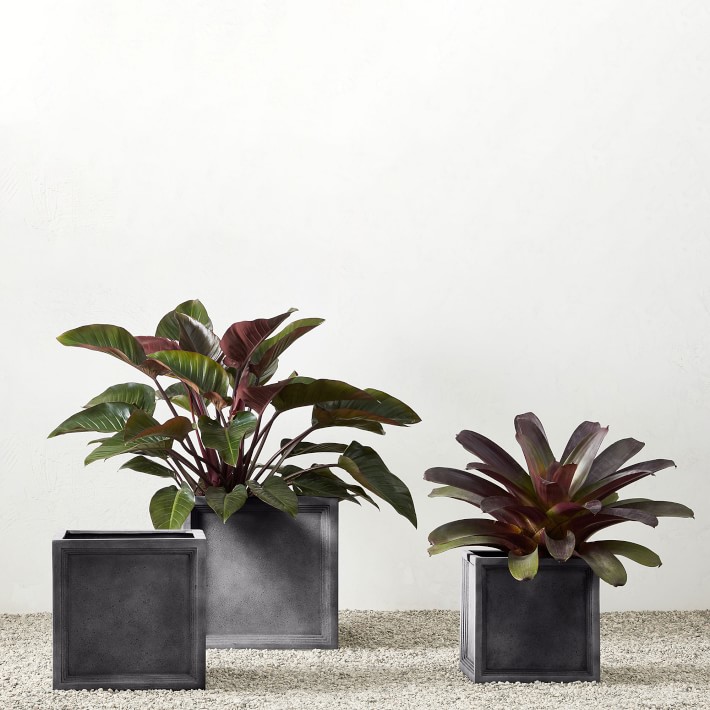 Sandhurst Planter for Outdoors | Williams Sonoma