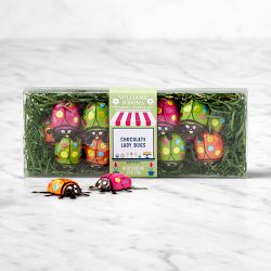 Williams Sonoma German Chocolate Ladybugs