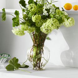 AERIN x Williams Sonoma Home Sculptural Glass Vase