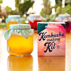 DIY Green Tea Kombucha Making Kit