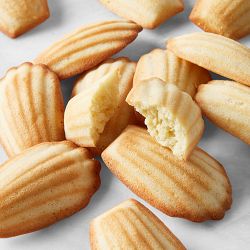 Freshly Baked Madeleines, Set of 24