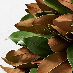 Magnolia Live Wreath &amp; Garland
