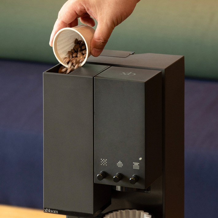 xBloom Studio Grind & Brew Coffee Maker | Williams Sonoma