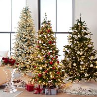 Up to 40% Off Select Christmas Trees & Wreaths image