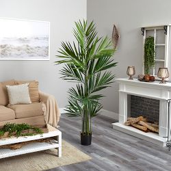 Faux Kentia Palm Silk Tree, 84"