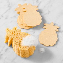 Pineapple Pop Up Sponges, Set of 6