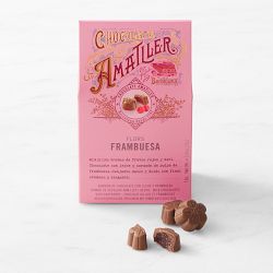 European Chocolates with Raspberry Filling, Set of 2