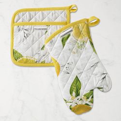 Meyer Lemon Coordinate Mitt & Potholder