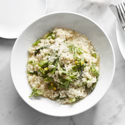 Pillivuyt Coupe Porcelain Pasta Bowls