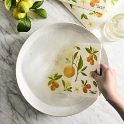 Citrus Sponge Dishclothes, Set of 3