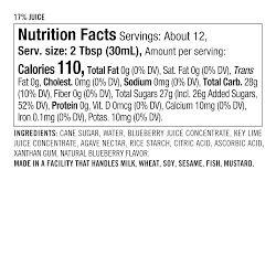 Williams Sonoma Sorbet Starter, Blueberry Lime