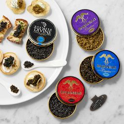 Sasanian Caviar Quatro Gift Set