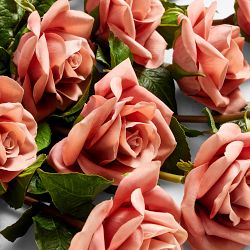 Jeff Leatham x Williams Sonoma Real Touch Faux Mocha Rose Stems, Set of 12