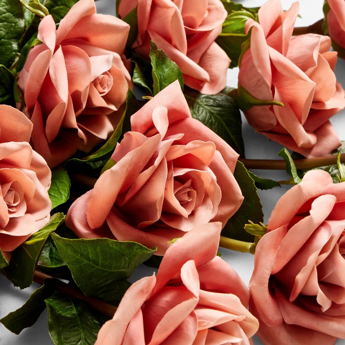 Jeff Leatham Faux Mocha Rose Stems, Set of 12 | Williams Sonoma