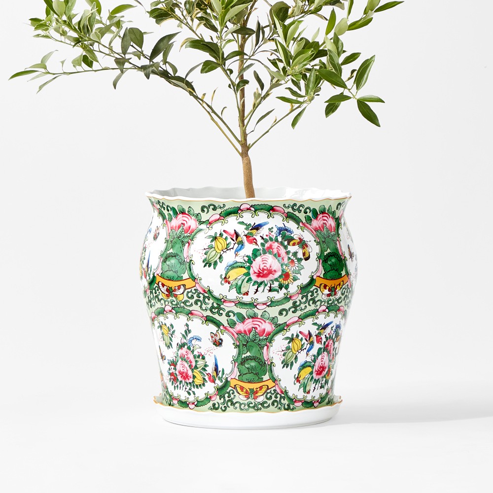 Famille Rose Planter Collection - Large