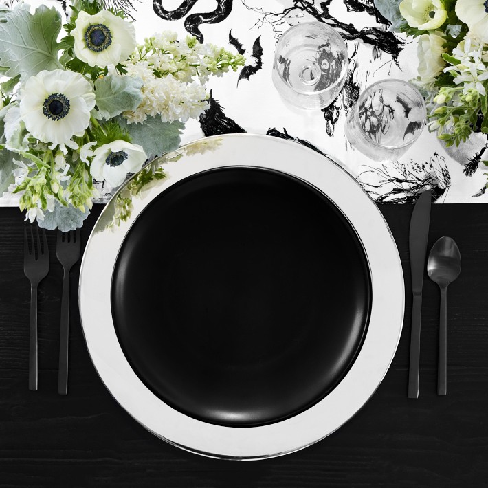 Open Kitchen by Williams Sonoma Matte Coupe Dinner Plates, Set of 4