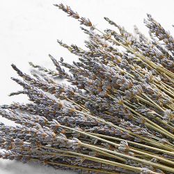 Dried Lavender Bunch
