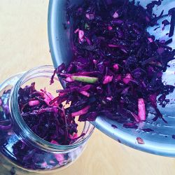 FarmSteady Kraut DIY Kit