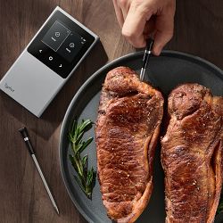 Typhur Sync Wireless Meat Thermometer