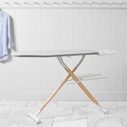 Hold Everything Ironing Board