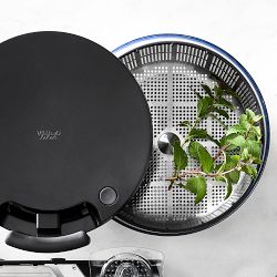 Williams Sonoma Salad Spinner